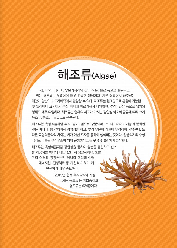 1페이지