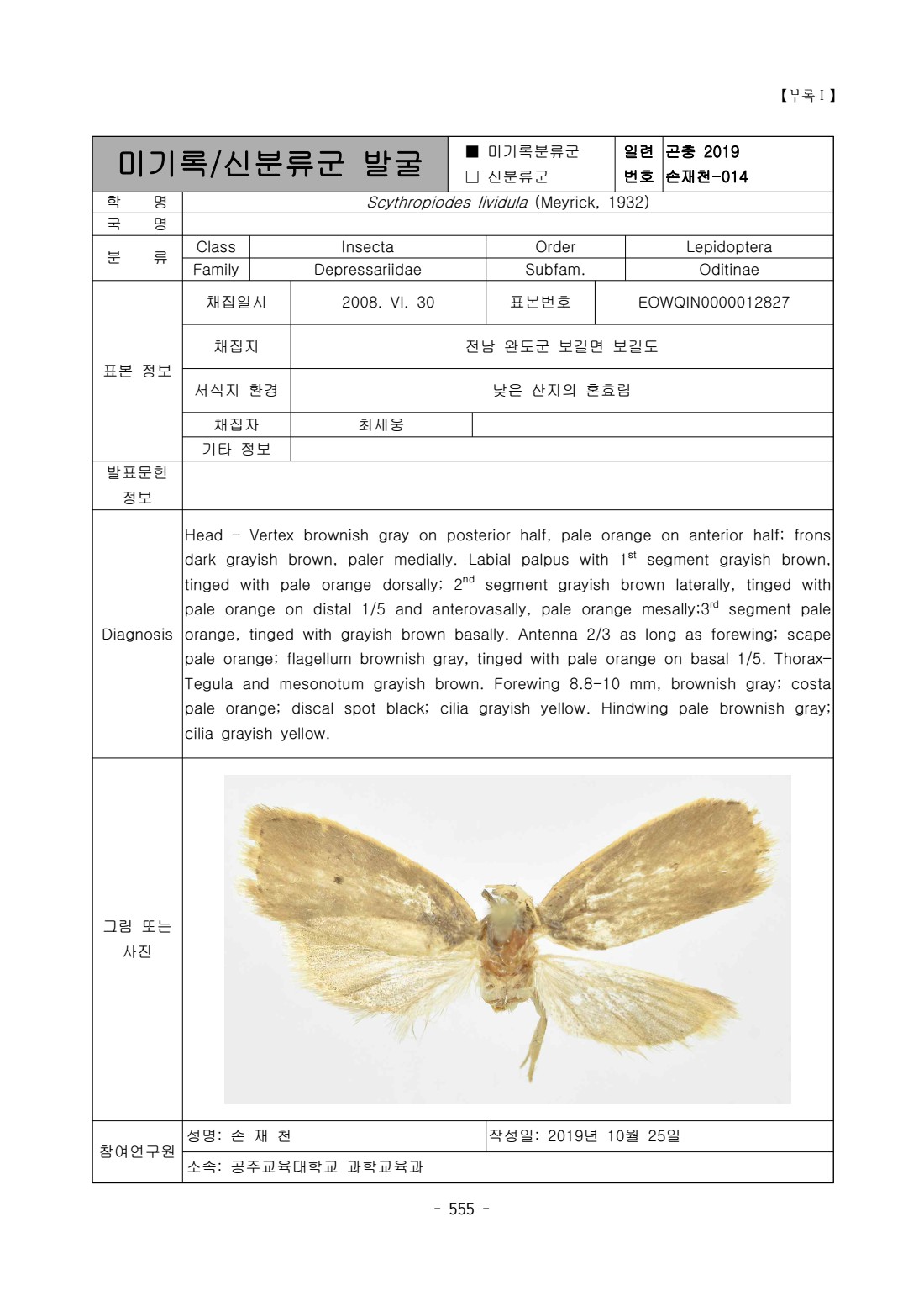 페이지