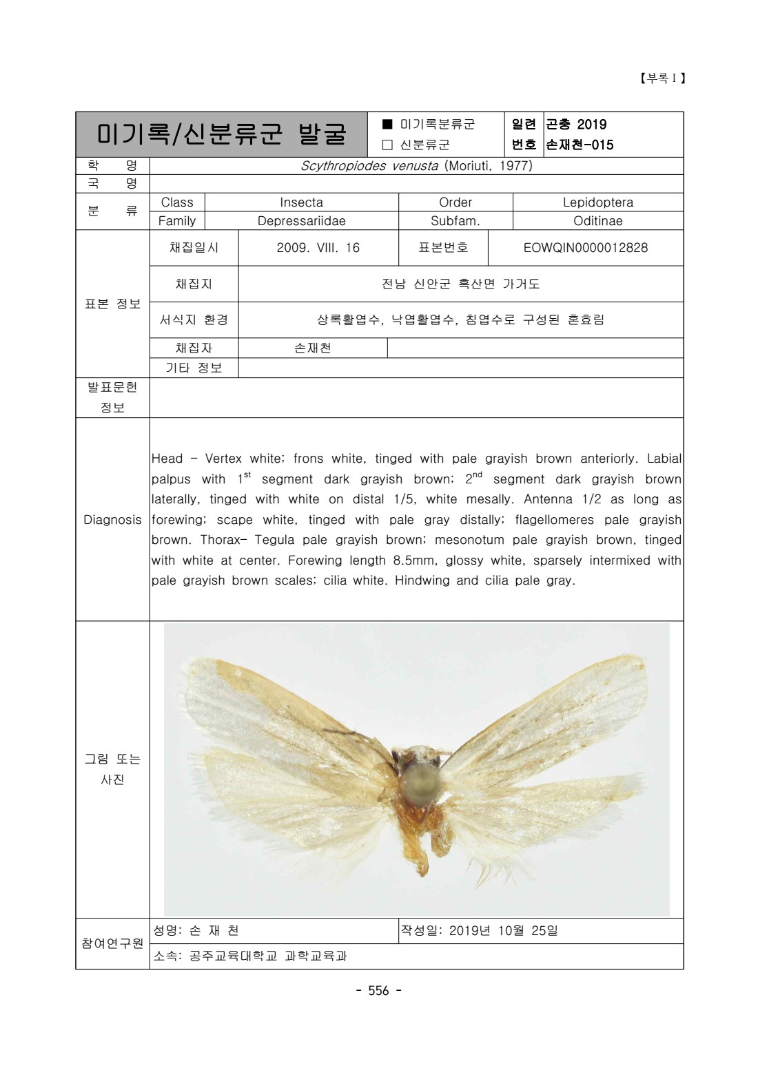 페이지