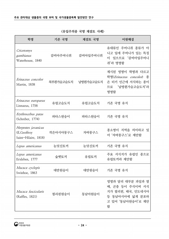 13페이지