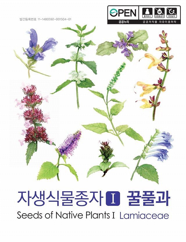 페이지