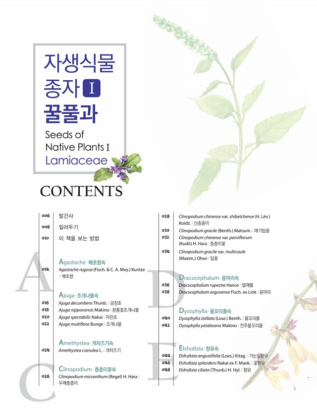 2페이지