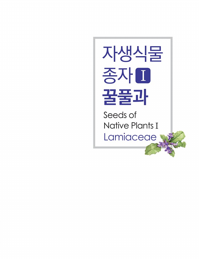 5페이지