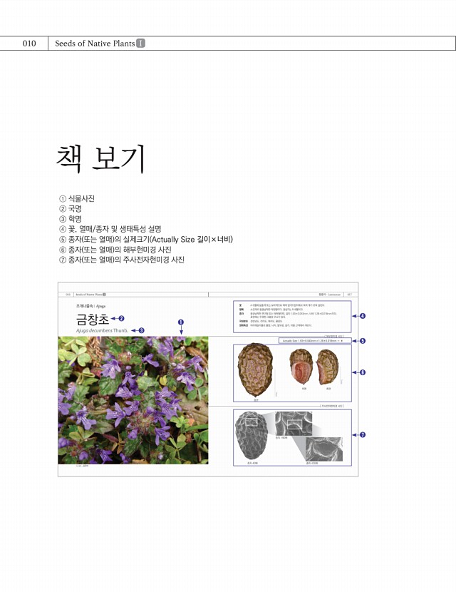 10페이지
