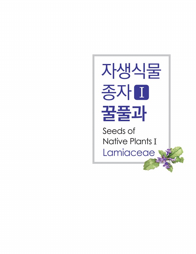 11페이지