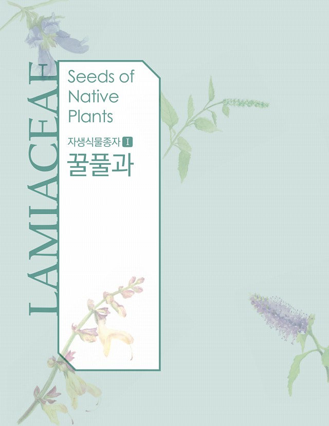 12페이지