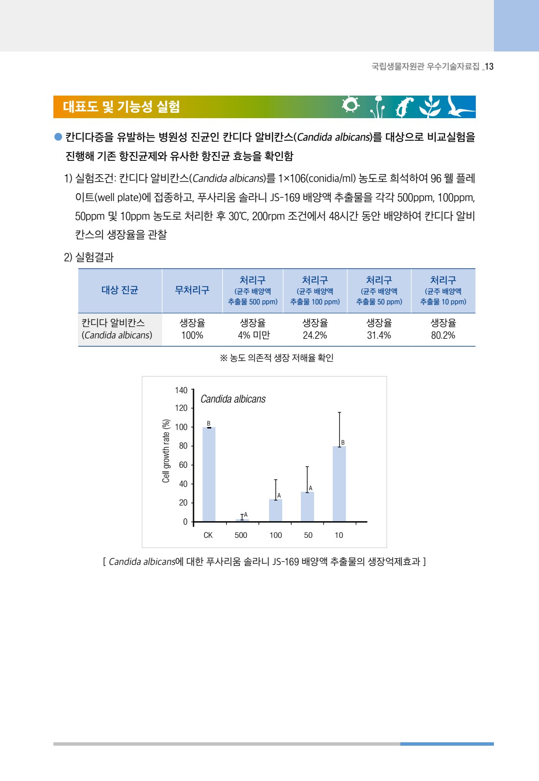 페이지