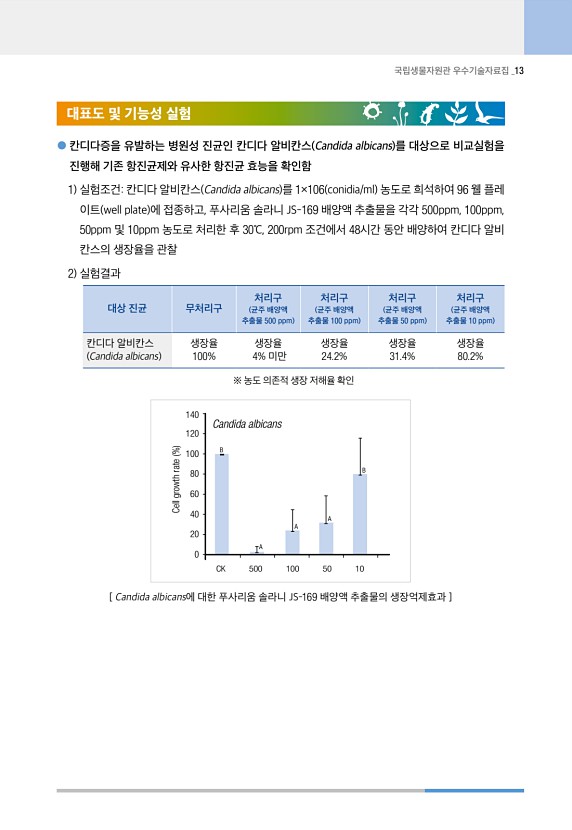 13페이지