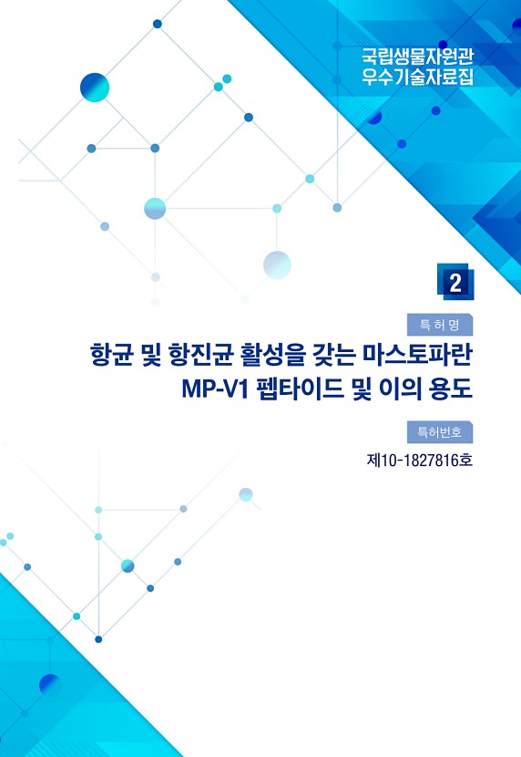 15페이지