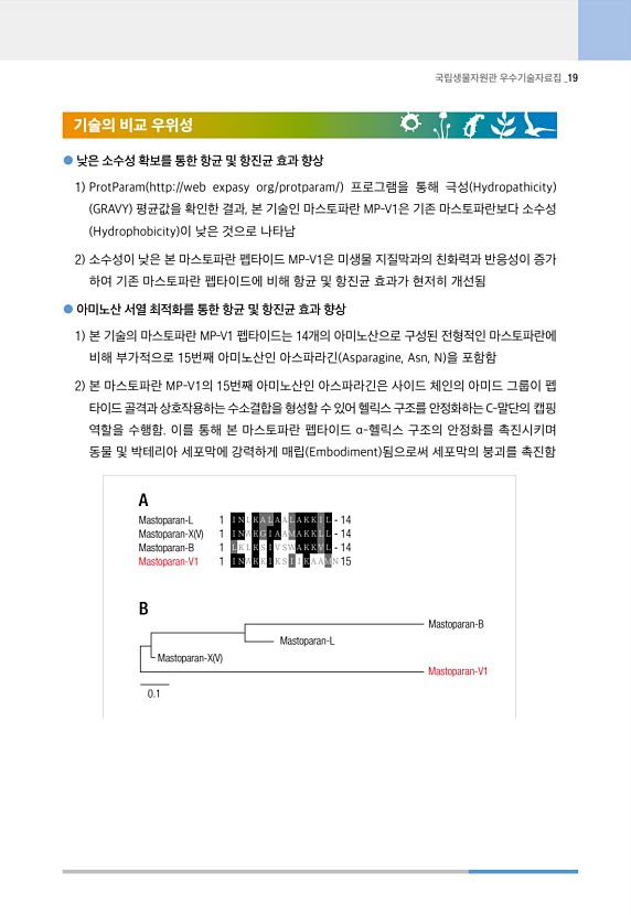 19페이지