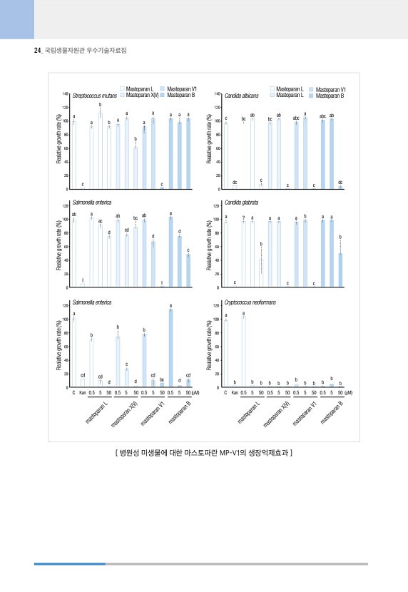 24페이지