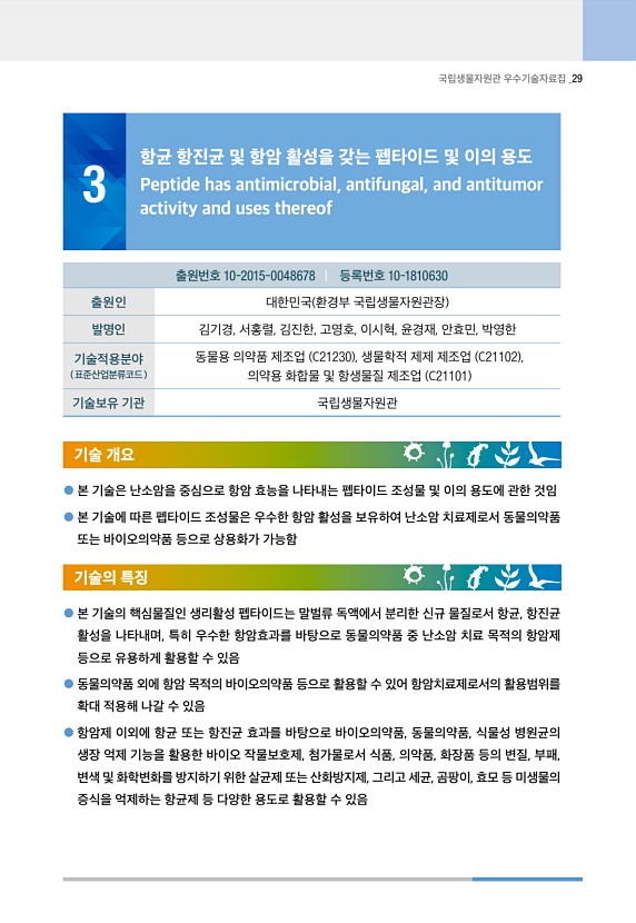 29페이지