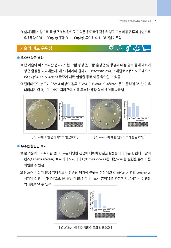31페이지