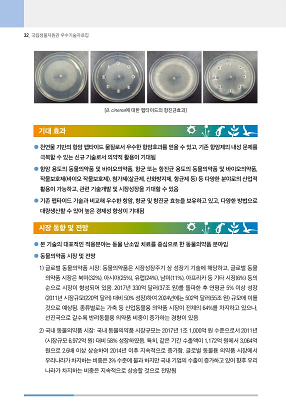 32페이지