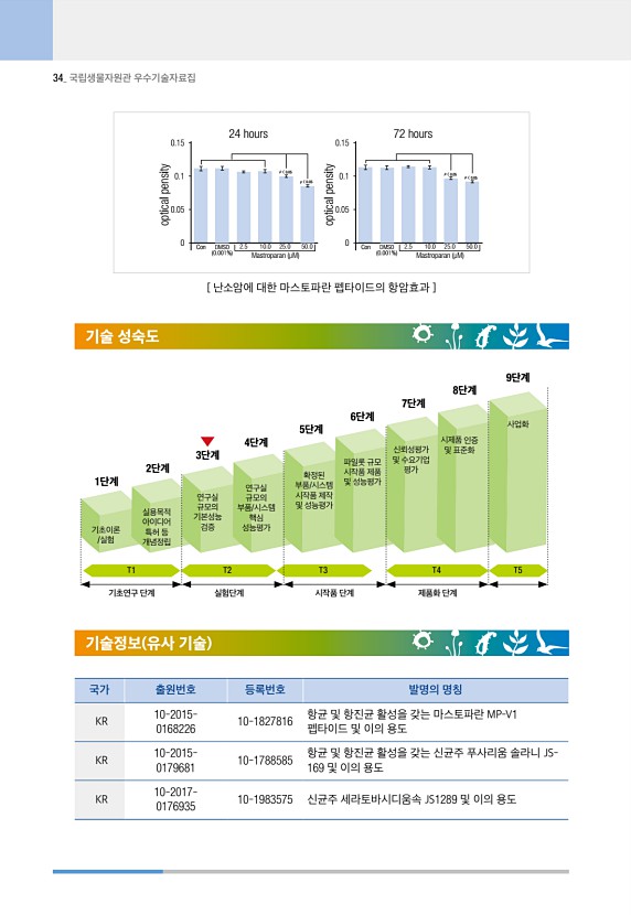 34페이지