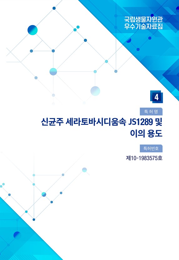 35페이지