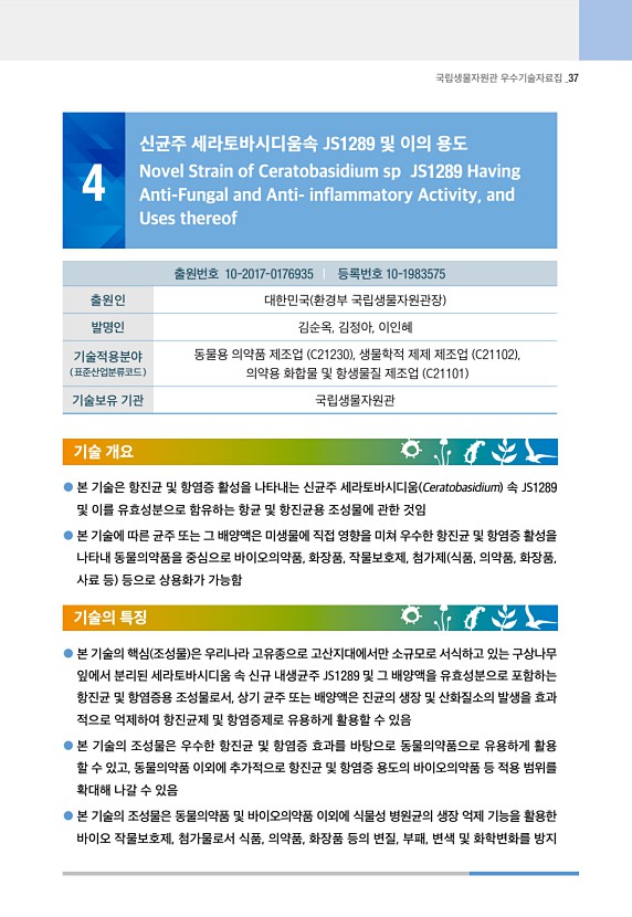 37페이지