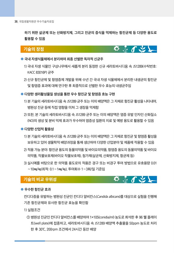 38페이지