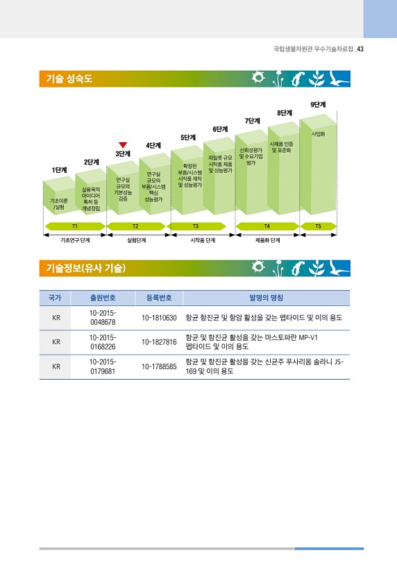 43페이지