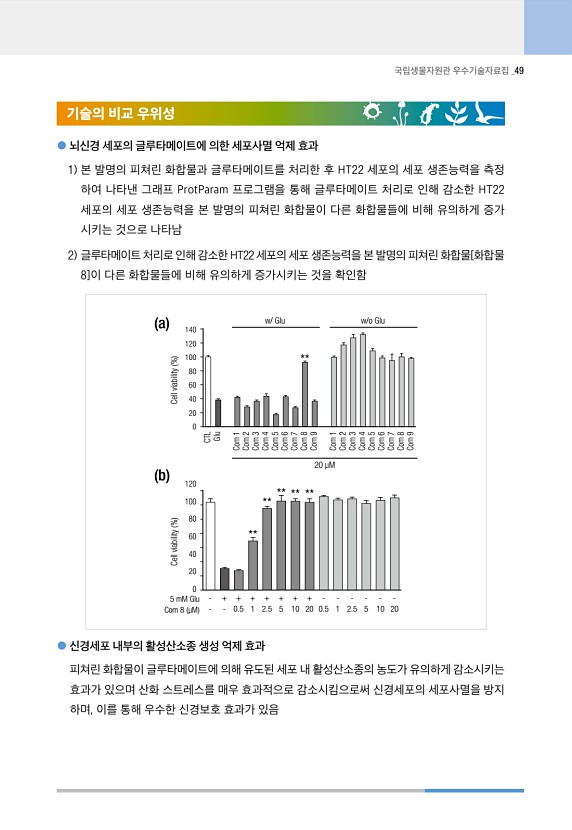 49페이지