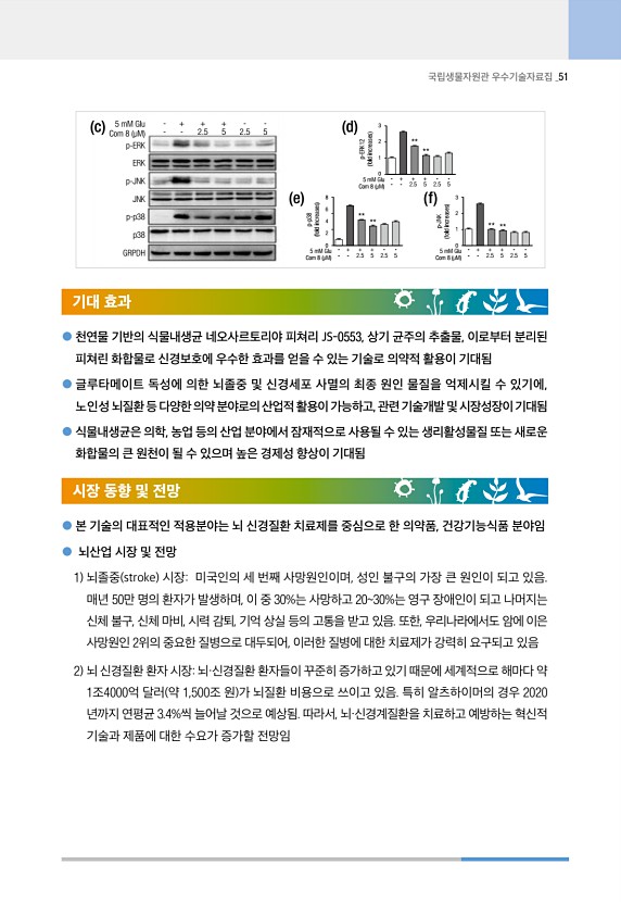 51페이지