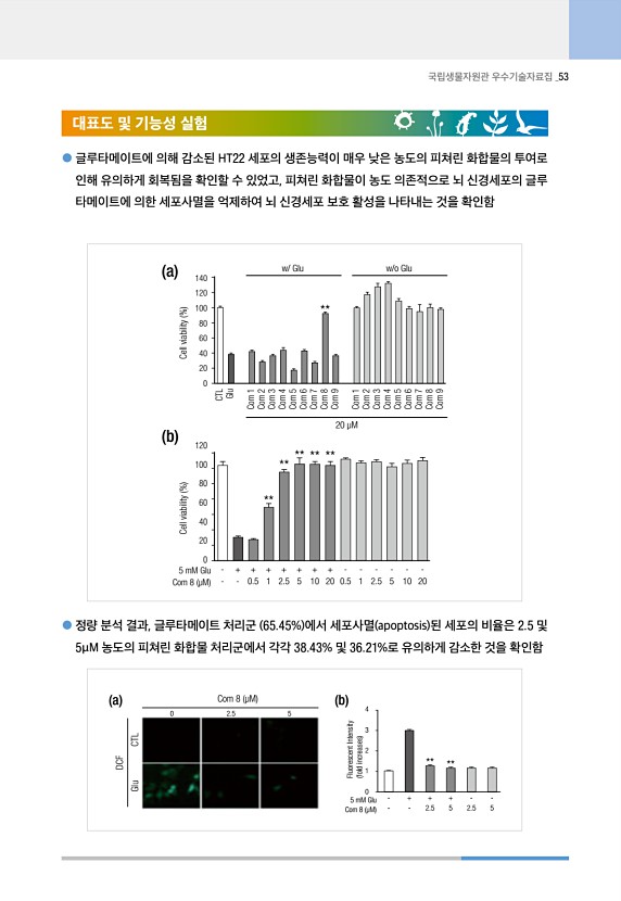 53페이지