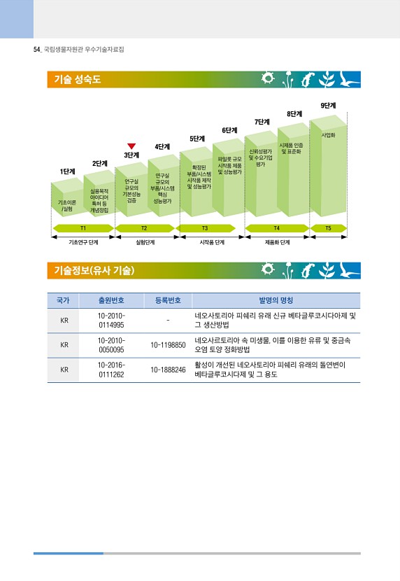 54페이지