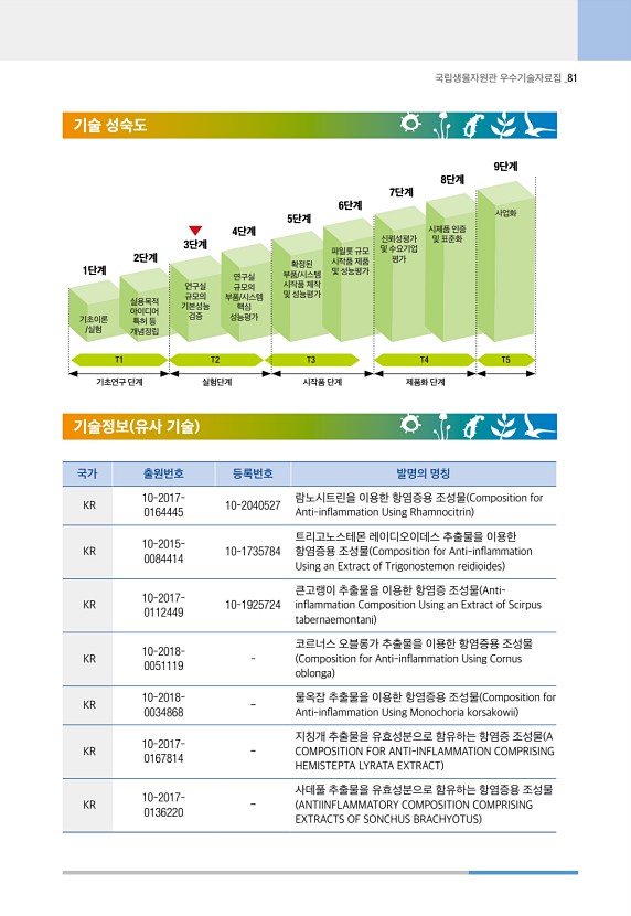 81페이지