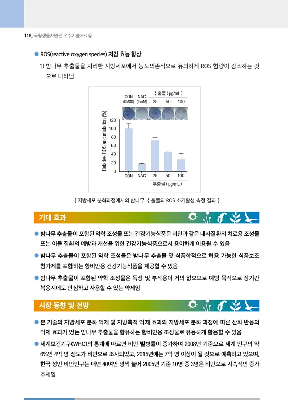 118페이지