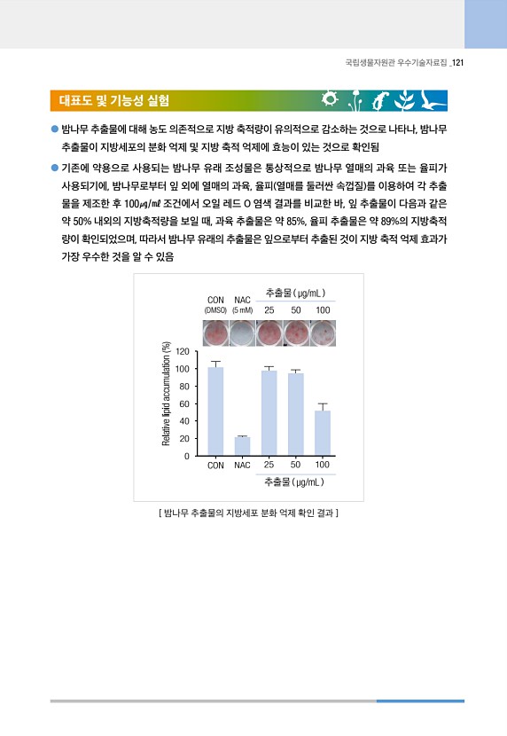 121페이지