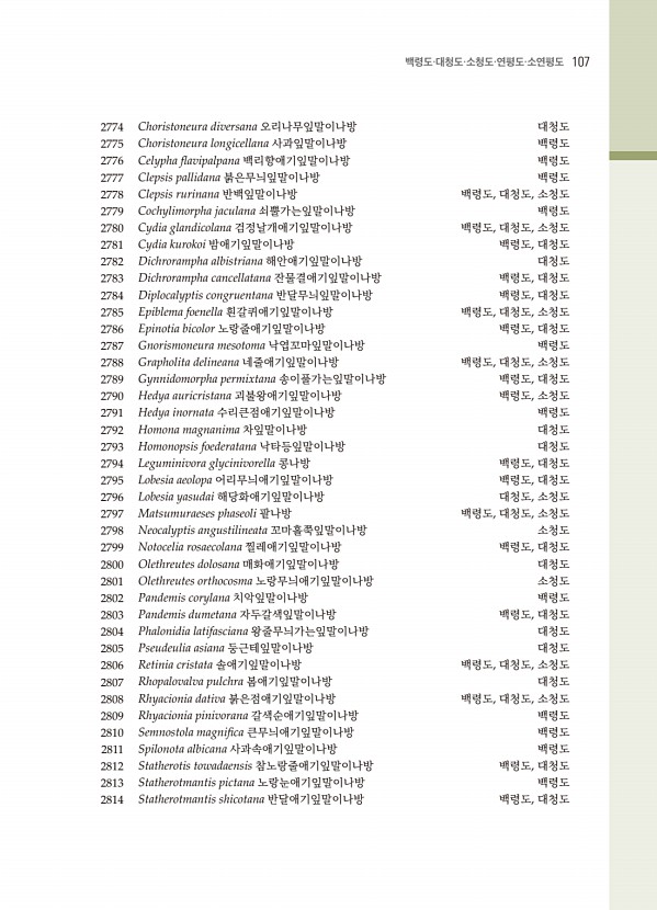 95페이지