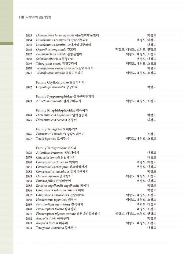 98페이지