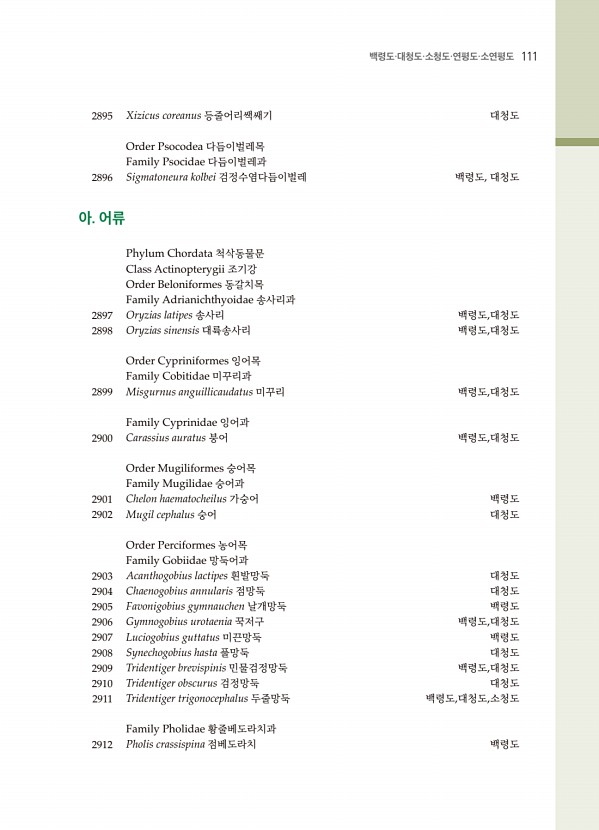 99페이지