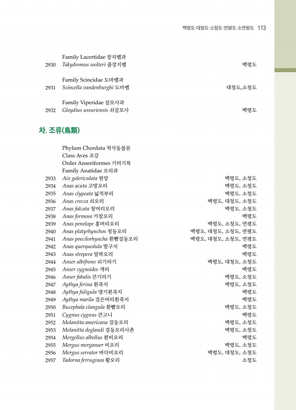101페이지