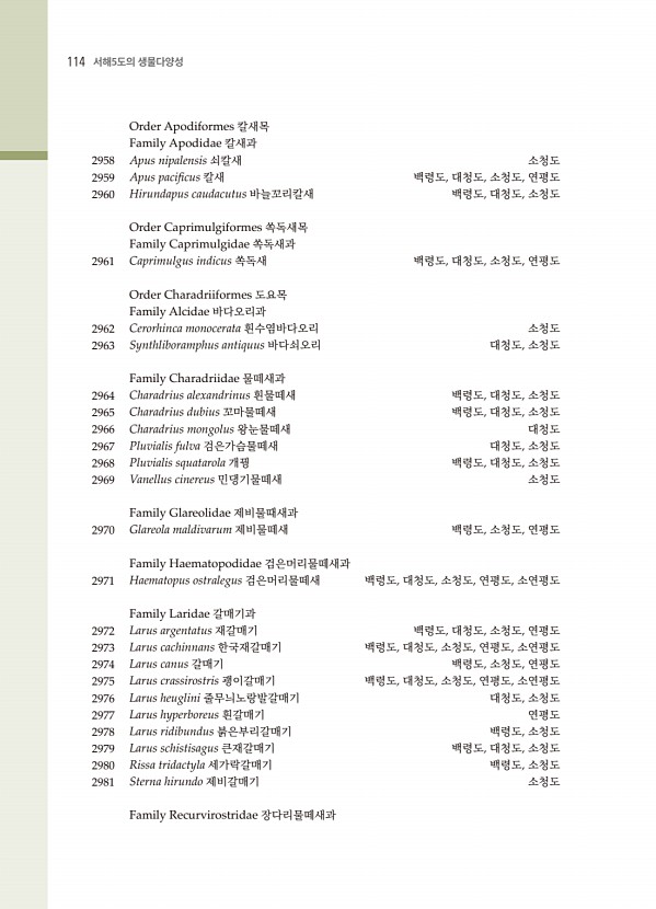 102페이지
