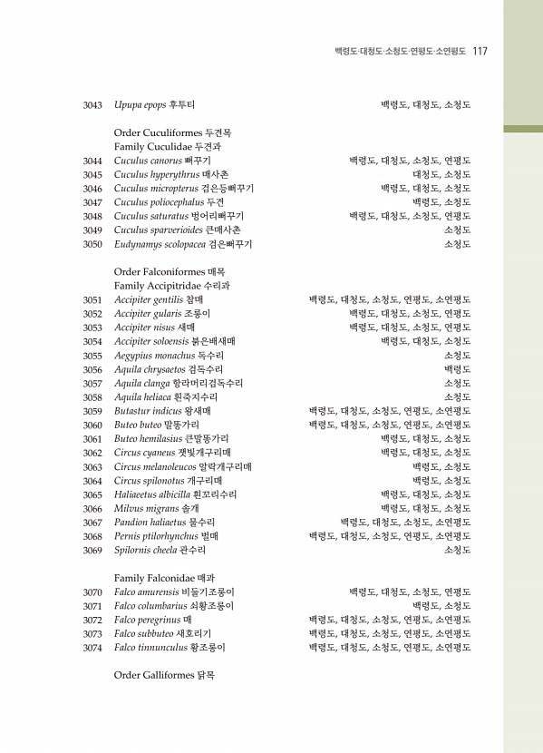 105페이지