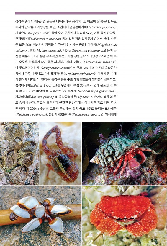 2페이지