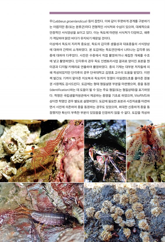 10페이지