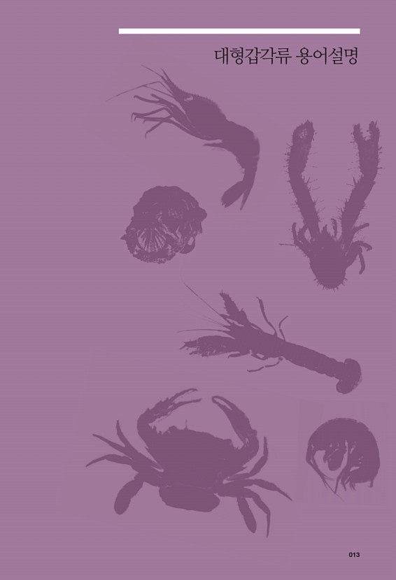5페이지